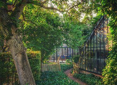 Luxury B&B in 100 year old grapevine - 22