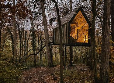 Sfeervolle boshut op hoogte in de Ardennen