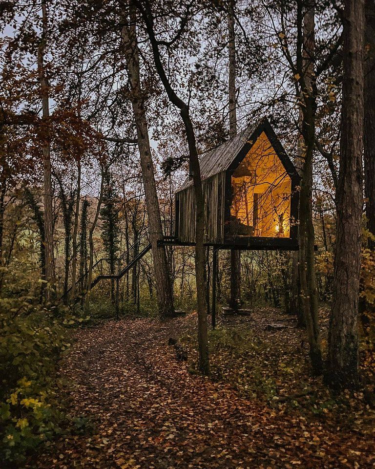 Stimmungsvolle Waldhütte in den Ardennen - 1