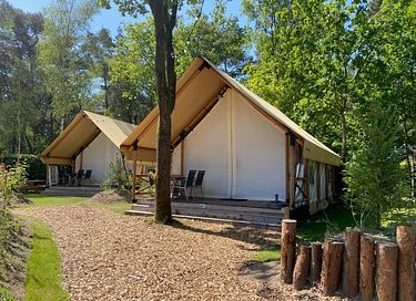 Spacious safaritent for 6 people in the forest
