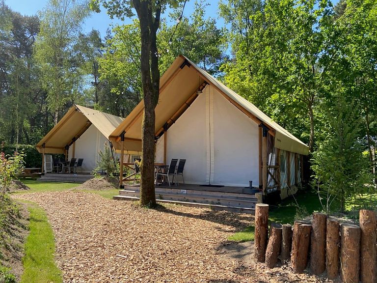 Tente safari spacieuse pour 6 personnes dans la forêt - 1