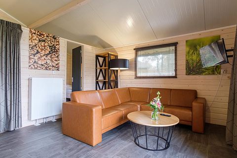 Luxuriöse Glamping-Lodge in gemütlichem Park - 3