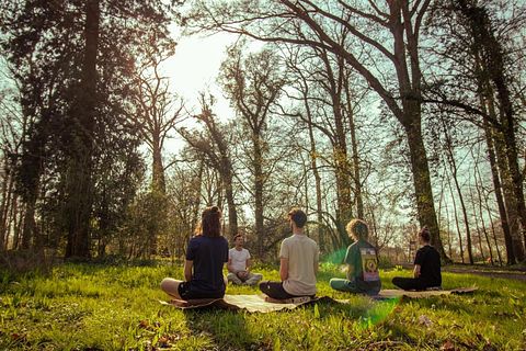 Meditatie en Yoga glamping in het bos - 2
