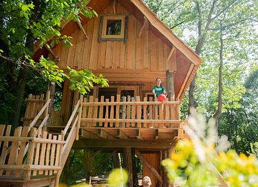 Cabane dans les arbres dans le Brabant-Septentrional (4 personnes) - 2