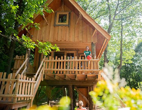 Cabane dans les arbres dans le Brabant-Septentrional (4 personnes) - 2