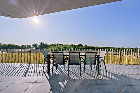 Apartment (6p) with spacious terrace - 2