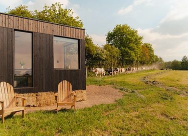 Tiny house bij een melkveebedrijf  - 2