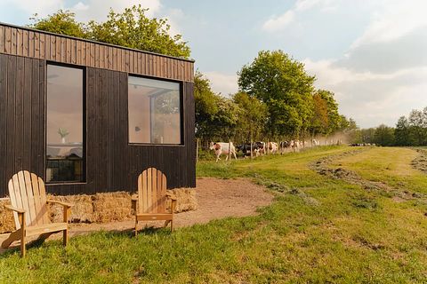 Tiny house bij een melkveebedrijf  - 2