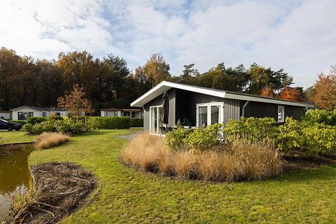 Komfortable Lodge in der Brabant-Kempen - 2