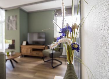 Gezellig familiehuis met grote tuin - 21
