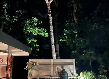 Romantic hide out in the forest near the sea - 26