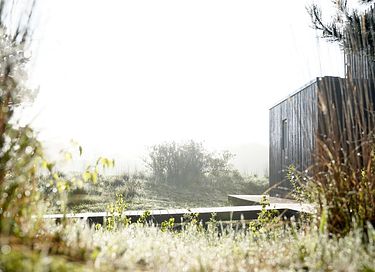Naturferienhaus mit Sauna und Whirlpool - 32