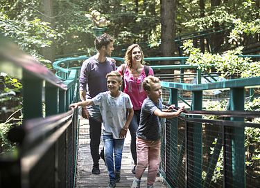 Wellness tiny house voor 4 personen - 34