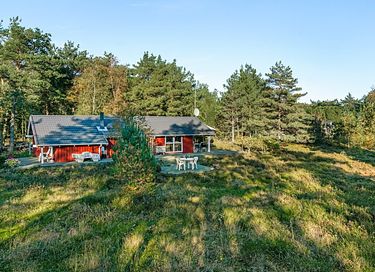 Gezellig vakantiehuis midden in het bos - 10