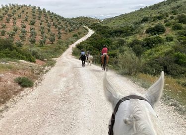 Luxuriöses andalusisches B&B mit Bar und Swimmingpool - 36