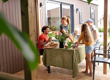 Familiehuis voor 12 personen op de Veluwe - 4