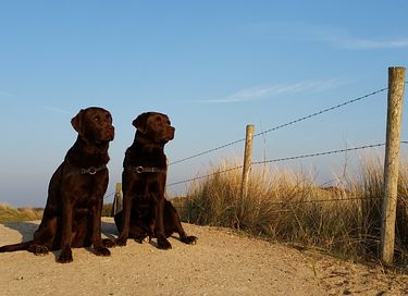 Hébergement familial de luxe en bord de mer en Zélande - 25