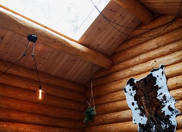 Scadinavische lodge – van échte boomstammen - 10