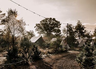 Safari lodge op unieke plek in Nederland - 23