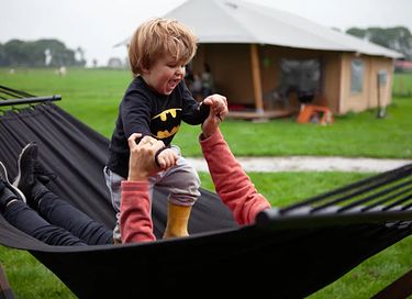 Glamping à la ferme des vaches laitières et des veaux - 6