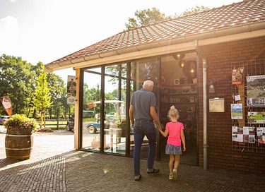 Tiny house on child-friendly vacation park - 18