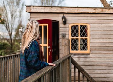 L'arbre a cabane avec un balcon dans un environnement naturel - 3