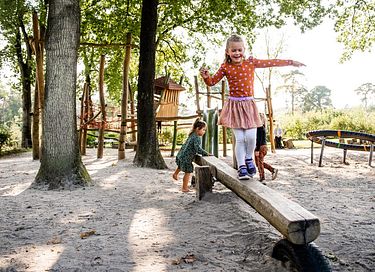 Cabane suspendue dans un beau camping à Drenthe - 12
