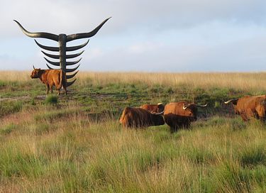 Mooi gelegen vakantiehuis midden op de Veluwe - 38