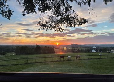 Leuk vakantiehuis voor 2 personen in de Eifel - 2