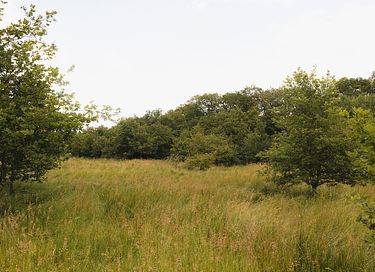 Petite maison dans la campagne française - 26