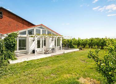 Vakantiehuisje (2p) in een wijngaard - 4