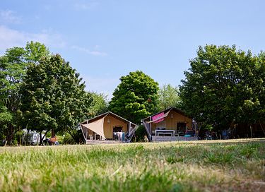 Glampingtent in een prachtige omgeving (6p) - 11