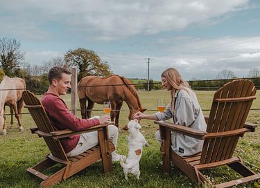 Tiny House zwischen Pferden und Ponys - 3