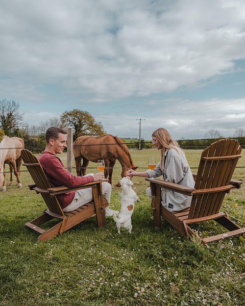 Tiny House zwischen Pferden und Ponys - 3