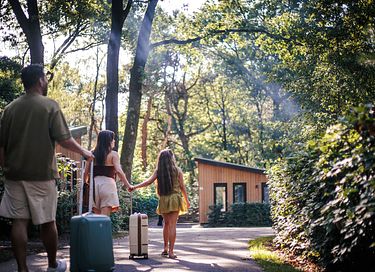 Dog-friendly wellness lodge in the Veluwe - 10