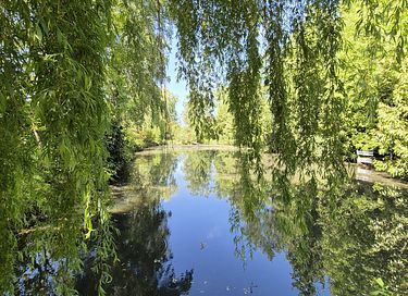 Außergewöhnliches Baumhaus direkt am Wasser - 35