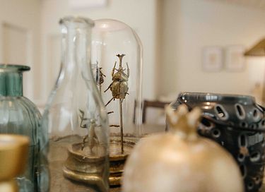 Logement de vacances (4p) avec bain à remous dans la nature - 17