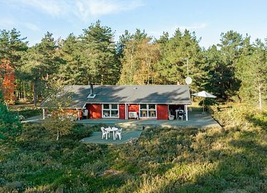 Gezellig vakantiehuis midden in het bos - 6