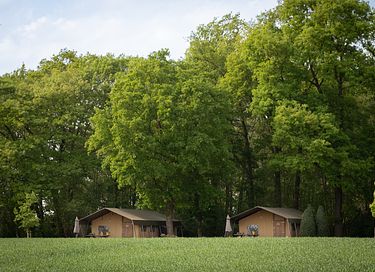 Luxury glamping tent in Twente - 4