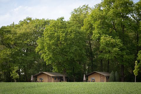 Luxury glamping tent in Twente - 4