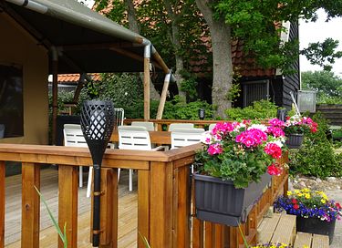 Luxe glamping in Noord-Holland - 14