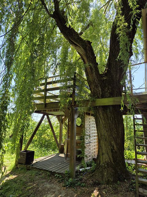 Außergewöhnliches Baumhaus direkt am Wasser - 2