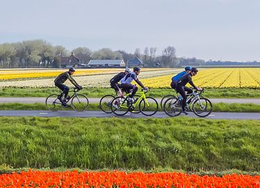 Vakantiehuis Noord-Holland dichtbij de zee - 35