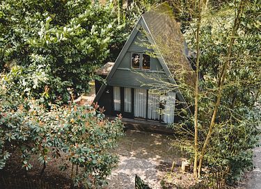 Belle maison dans la forêt avec baignoire romantique