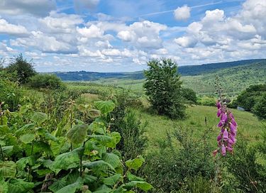 Einzigartige Hütte zwischen den Bäumen in den Ardennen - 23