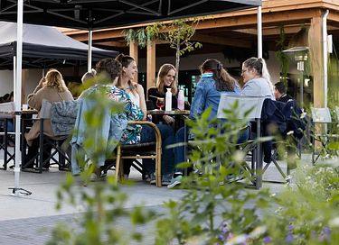 Familiehuis voor 12 personen op de Veluwe - 31