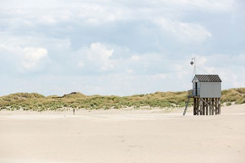 Huisje met zonnig terras op Terschelling - 3