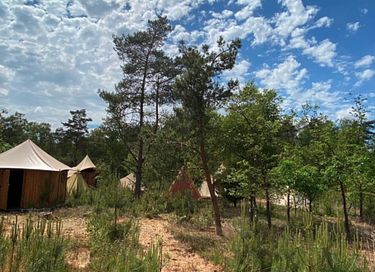 Luxe familie tent op de Veluwe - 31