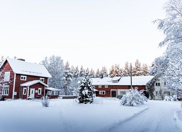 Geräumiges und luxuriöses Ferienhaus in der Natur - 21