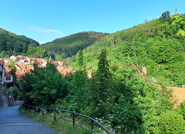 Gîte naturel près du parc naturel du Harz - 21